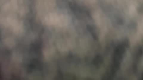 hotboyfuck9 online show from March 17, 1:35 pm