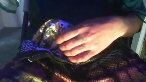 Snapshot of hotdick4200 chatting on October 7, 8:13 pm hotdick4200 online show from October 7, 8:13 pm