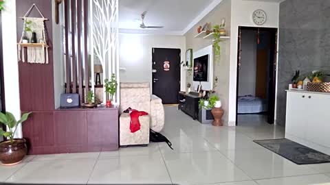 Snapshot of hotm_on_cam chatting on September 18, 9:11 am hotm_on_cam online show from September 18, 9:11 am