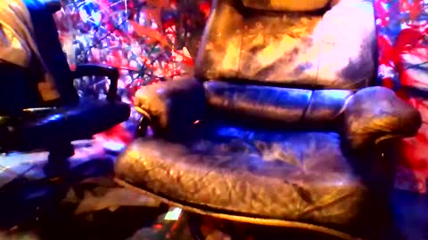 ask me online show from February 9, 2:40 pm