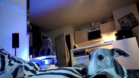 Hugo online show from January 7, 8:52 pm