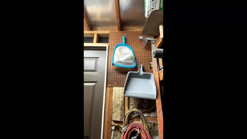 huskey300 online show from March 6, 10:07 pm