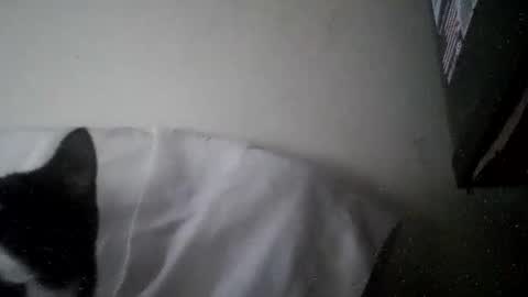 iamryan995442 online show from April 7, 5:35 pm