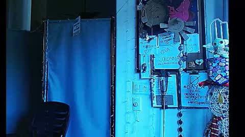 Snapshot of ibpms247 chatting on January 1, 11:51 pm PMS online show from January 1, 11:51 pm