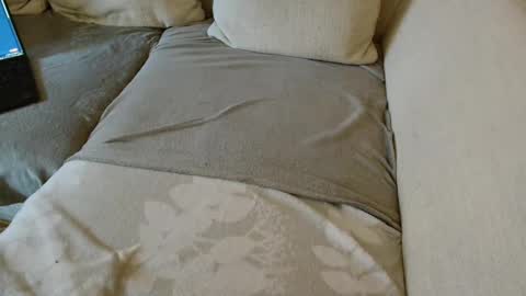 Snapshot of ich_hh chatting on January 29, 10:16 am SnowTiger online show from January 29, 10:16 am