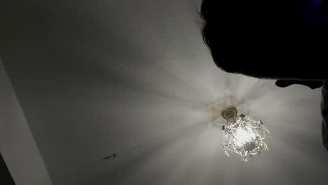 Igor scott online show from February 16, 4:42 am