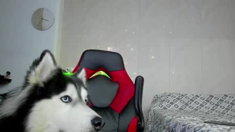 Igor scott online show from December 27, 1:11 am