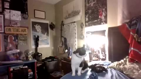 ilovewomensmokers0935 online show from February 12, 2:28 am