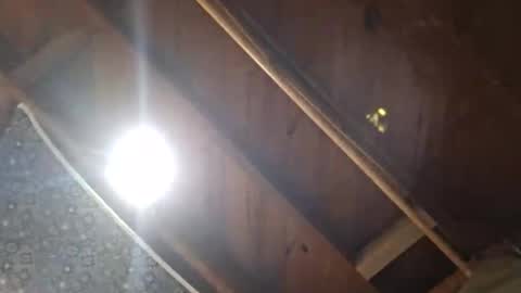 imabigolperv online show from February 4, 2:49 am