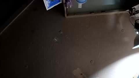 islandtwinkjustinsideyou online show from October 23, 9:57 am