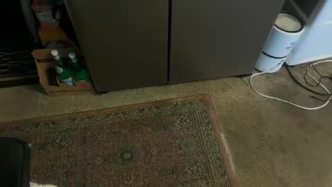 Tony online show from November 3, 3:25 pm