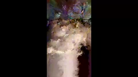 wonderbread online show from March 12, 11:40 am