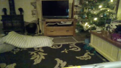 J4ckcock online show from December 27, 10:59 pm