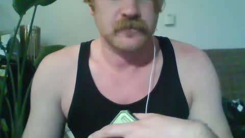 TR88 online show from February 11, 1:20 pm