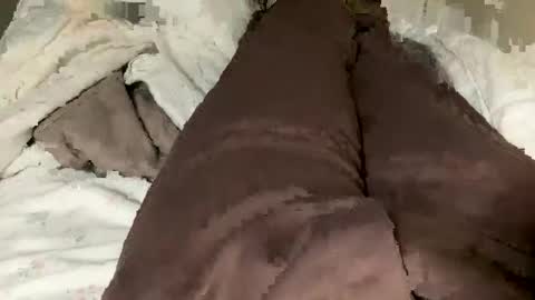 Jaaltar online show from February 2, 3:49 am