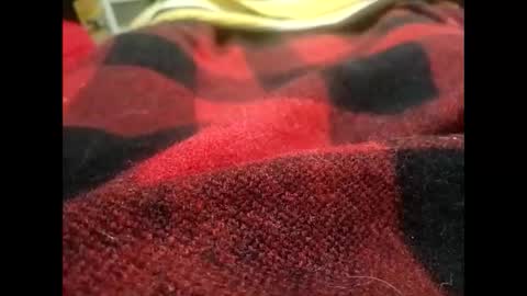 Snapshot of jakeyssnakey420 chatting on October 15, 7:43 pm JakeysSnakey420 online show from October 15, 7:43 pm