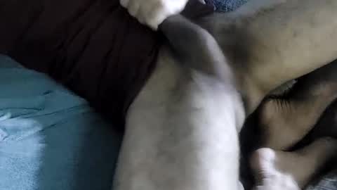 Snapshot of jameshetfield450 chatting on March 7, 11:05 pm James Clapeyron online show from March 7, 11:05 pm