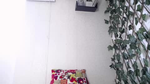 JKing  online show from January 13, 2:11 pm