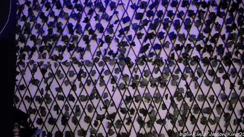 JKing  online show from September 11, 11:04 pm