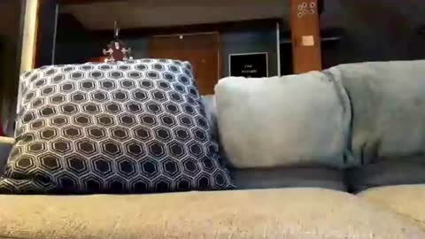 Jaws  online show from June 21, 8:58 pm