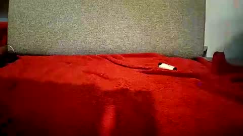 Jay bigcock online show from March 12, 1:03 am