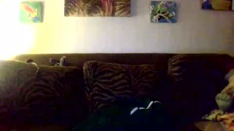 jay-jay1475 online show from October 11, 10:36 pm