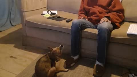 O F   jay short786 online show from February 23, 12:15 am