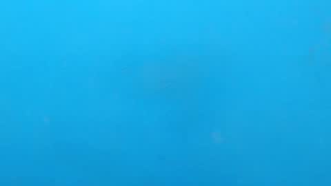 jaycollins online show from December 10, 3:19 am