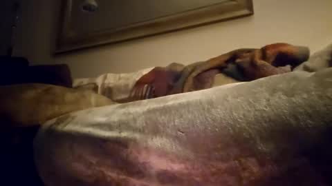 Jcramirez1975s online show from December 21, 3:03 am