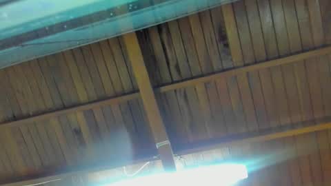 jeicob gagnon online show from September 15, 1:52 am