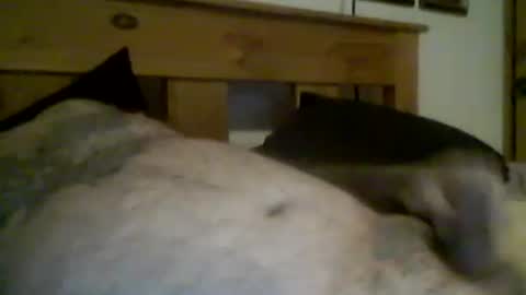 jerkmate6666 online show from March 12, 11:34 pm