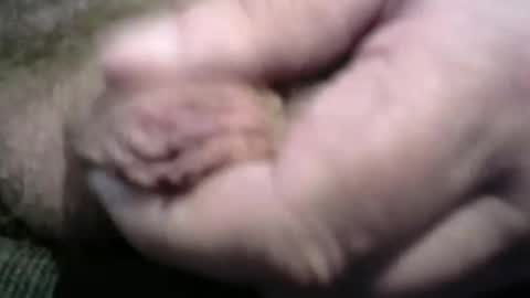 jerom111111111 online show from December 17, 9:17 am