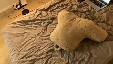 Snapshot of jessesbubble chatting on October 5, 5:11 am Jesse online show from October 5, 5:11 am