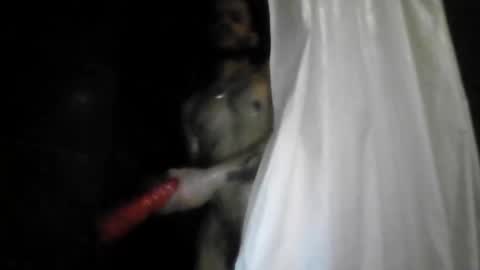 jhonc66 online show from April 14, 2:11 am