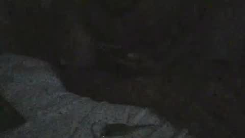 mysticmind777 online show from March 14, 11:56 pm