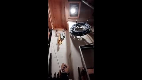 jkalani900893269 online show from April 8, 9:01 pm