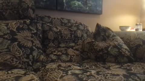 jlk7777 online show from December 4, 7:01 pm