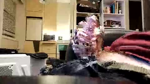 joehman online show from September 21, 9:59 pm