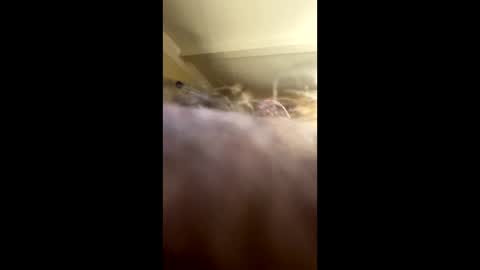 johnny235813 online show from September 10, 12:20 am