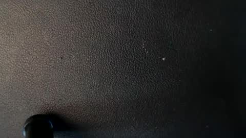 johnnyrotten44 online show from January 29, 3:37 pm