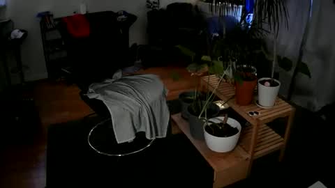 johntylerr833 online show from May 23, 9:42 pm