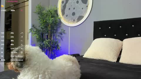 Jordan online show from November 19, 10:04 am