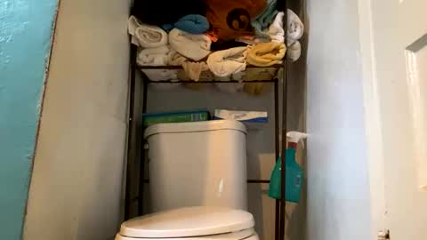 josephs1990 online show from April 9, 11:55 pm