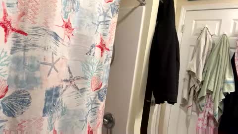 sissy josphine online show from February 3, 3:37 am