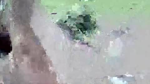 jozampo online show from March 5, 12:27 am