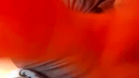 jrzap1806 online show from February 18, 11:08 am