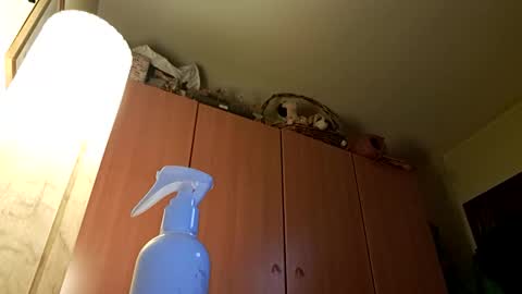 juanka85564456 online show from December 17, 3:06 am