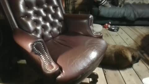 Greg online show from December 10, 12:16 pm