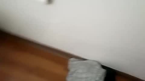 manolito online show from January 1, 6:15 am