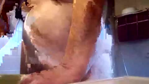 Werner online show from December 28, 11:41 am